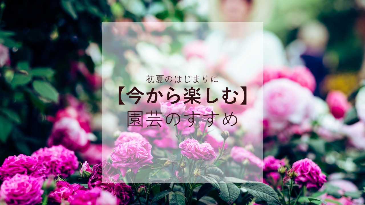 今から楽しむ園芸のすすめ